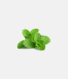 Mint Tea