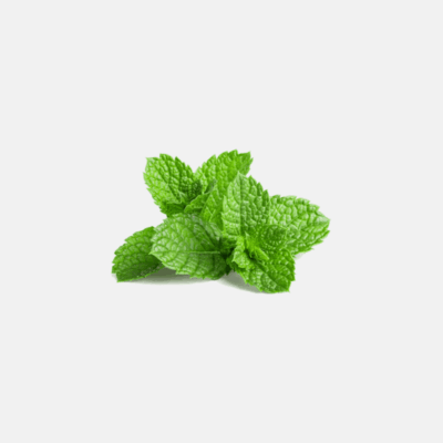 Mint Tea